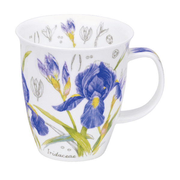 Bild von Dunoon Nevis Floral Sketch Iris